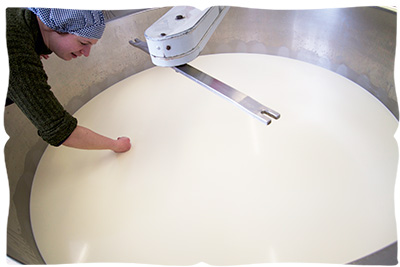 making halloumi cheese