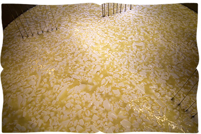 making halloumi cheese