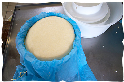 making halloumi cheese