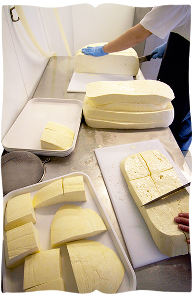 making halloumi cheese