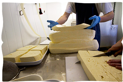 making halloumi cheese