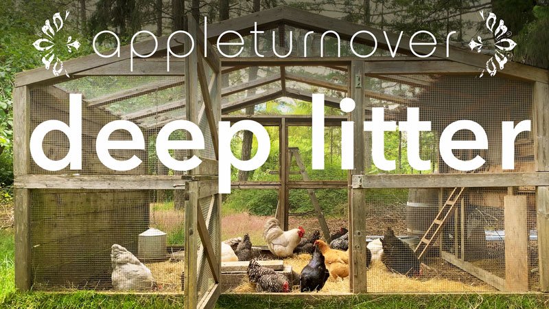 deep litter film still